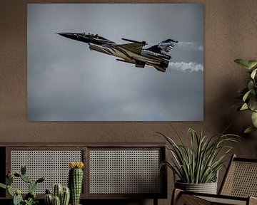 F16 Belgian Airforce van Photobywim Willem Woudenberg