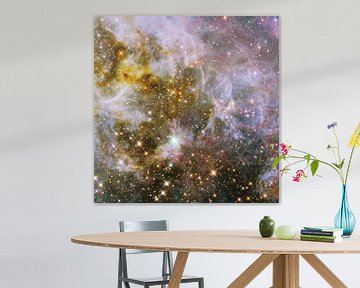 Hubble telescoop foto,s van NASA van Brian Morgan