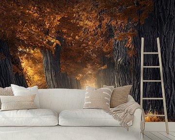 Dicke Herbstbäume von Rob Visser