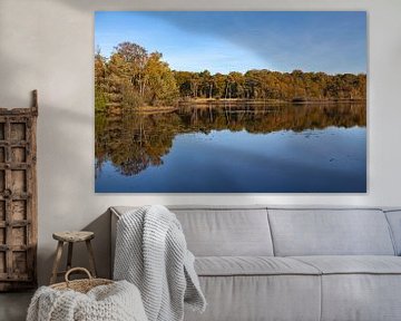 Reflecties bij de Oisterwijkse Bossen en Vennen van Nel Diepstraten