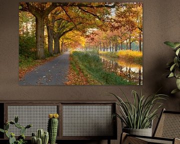 Gouden herfst langs het Apeldoorns Kanaal van Cor de Hamer