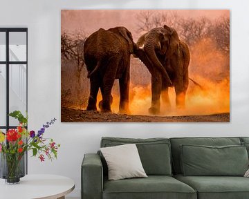 Afrikaanse Olifant, African Elephant, Loxodonta africana von AGAMI Photo Agency