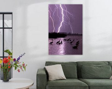 Lightning over lake with Spoonbills by AGAMI Photo Agency