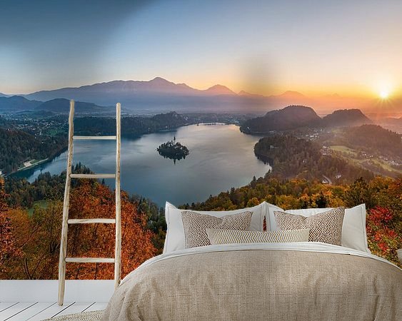 Aperçu de la chambre