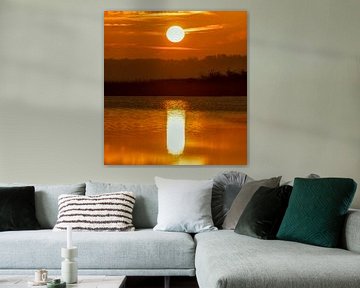 Sunrise in Oostvaardersplassen by Ben Bokeh