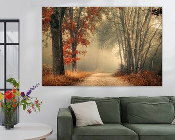 Forêt d'automne dans le brouillard sur Rob Visser