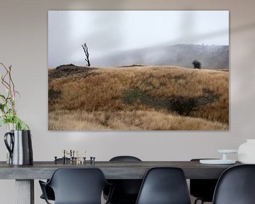 Landscape in the fog in the Southeastern part of Georgia by Anne Hana