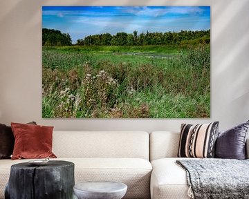 Piscine sur le Oostvaardersplassen