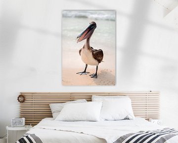 Bruine pelikaan by Maarten Verhees