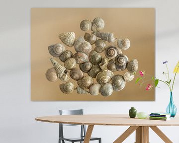 Shells | Still life by Marianne Twijnstra