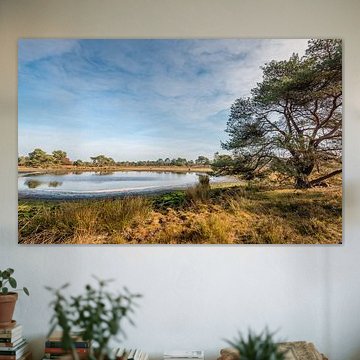 Kleiner See im niederländischen Naturschutzgebiet