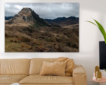 Ecuador: El Cajas National Park (Azuay) sur Maarten Verhees