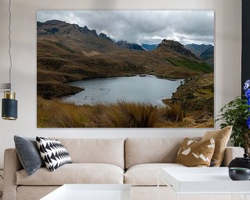 Ecuador: El Cajas National Park (Azuay) by Maarten Verhees