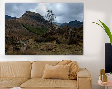 Ecuador: El Cajas National Park (Azuay) van Maarten Verhees