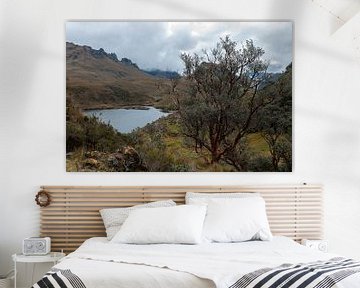 Ecuador: El Cajas National Park (Azuay) van Maarten Verhees