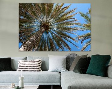 Palmtree by Jeroen Kleiberg