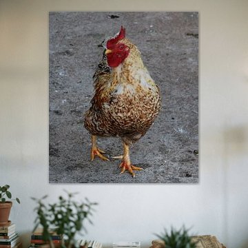 Bruin-Gevlekte kip in het Bospark van Alphen