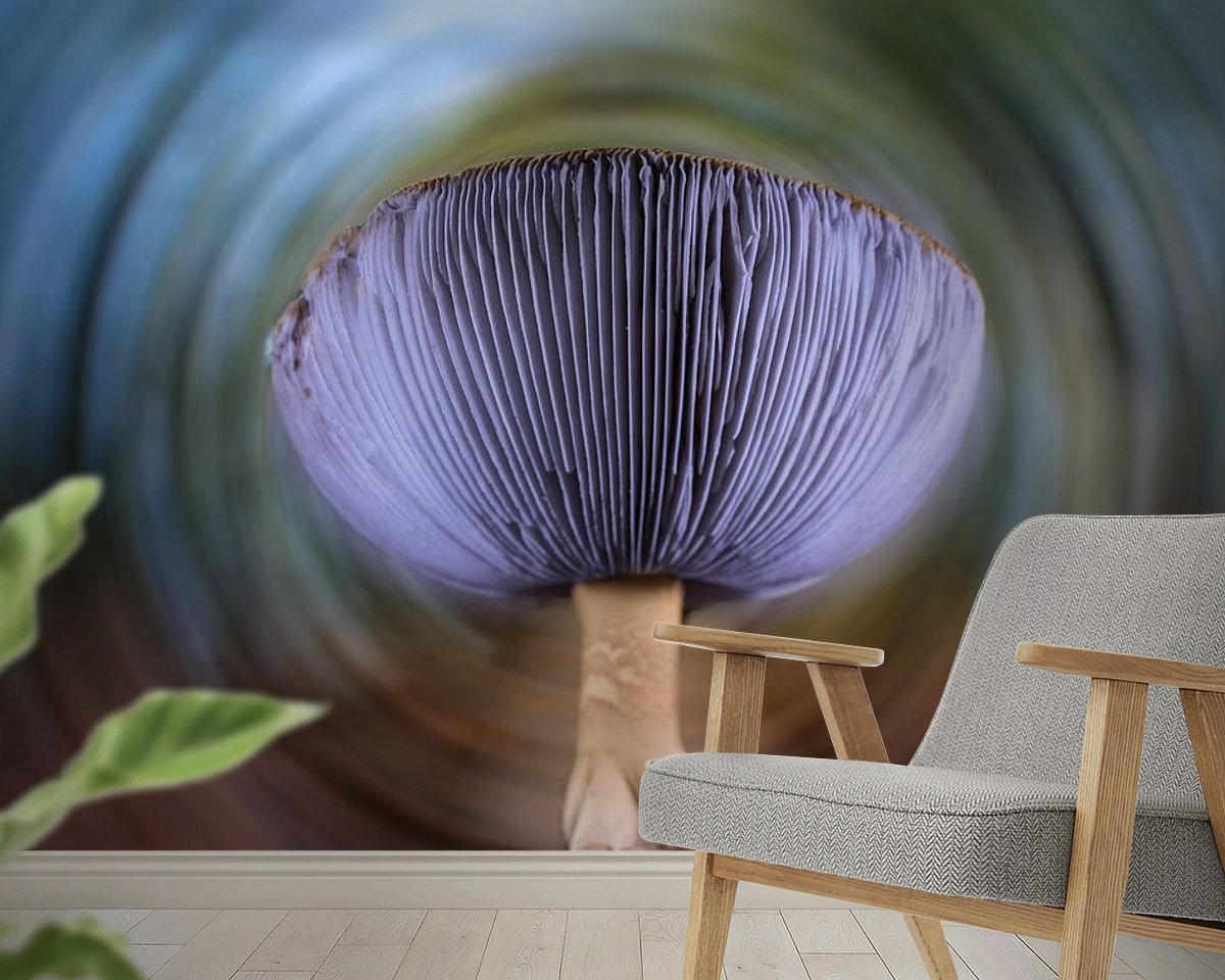 Raumvorschau
