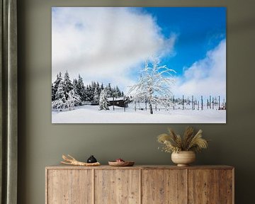 Winter with snow in the Giant Mountains, Czech Republic