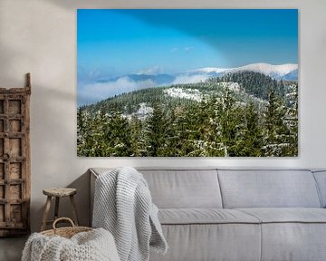 Winter with snow in the Giant Mountains, Czech Republic sur Rico Ködder