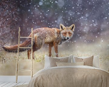 Rode vos in de sneeuw von Pim Leijen