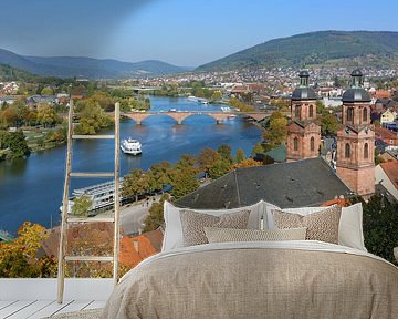 Miltenberg aan de Main