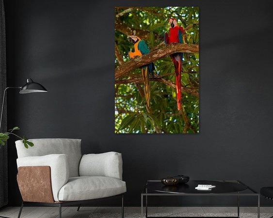 Aperçu de la chambre