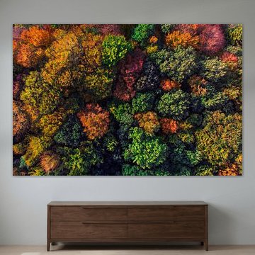 Draufsicht auf Bäume im Herbst