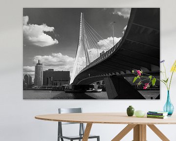 Rotterdam Erasmus brug van Mario Creanza
