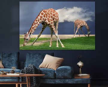 giraffen yoga van Artstudio1622