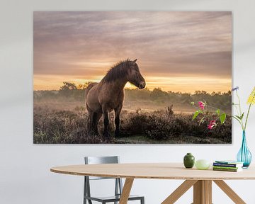 Wild horses van Wilko Ketelaar