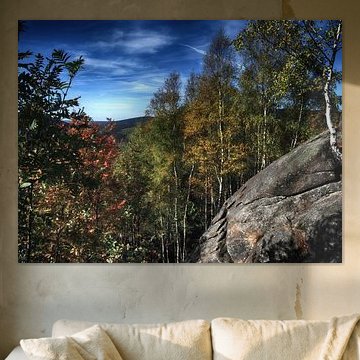 Rund um die Feigenbaumklippe