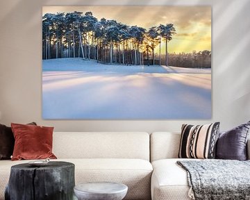 Winter Wonderland