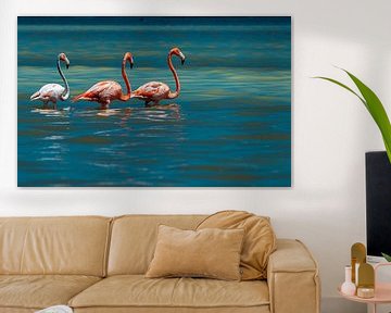 Amerikaanse flamingo van Maarten Verhees
