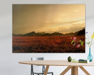 Fin du Spectacle von Aimelle ML