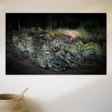 Sporen auf Harzer Gesteinsformation