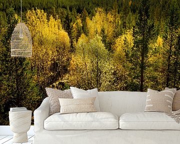 Bomen in herfstkleuren