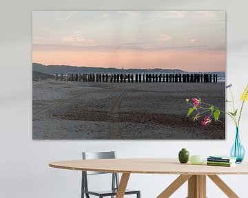 Morning on the beach by MSP Canvas