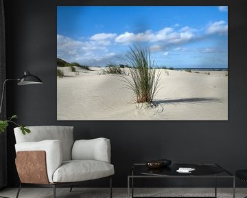 Helmgras op het strand van Waddeneiland Ameland van Ad Jekel