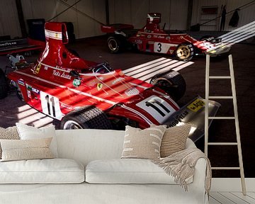 Lauda Ferrari 312B3 von Mattijs Diepraam