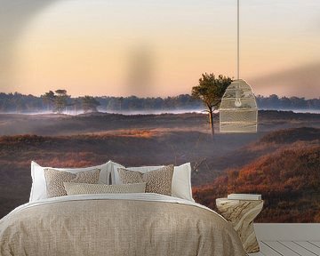 Play of light and shadow by Jos Pannekoek