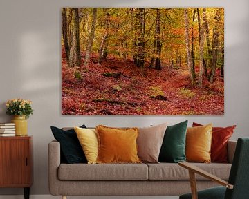 Autumnal forest by Gea Gaetani d'Aragona