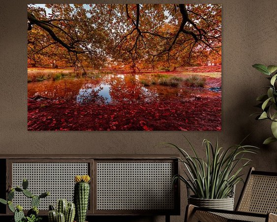 Aperçu de la chambre