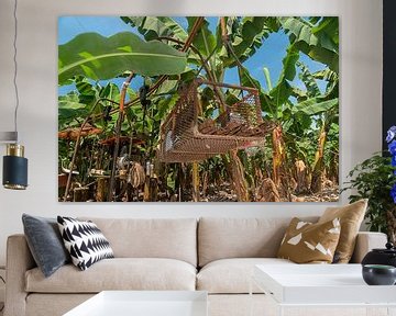 Los Amates: Bananenplantage by Maarten Verhees