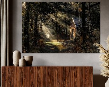 Huisje in het bos van Yori Hurkmans