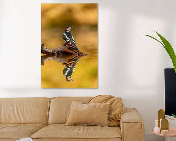 Aperçu de la chambre