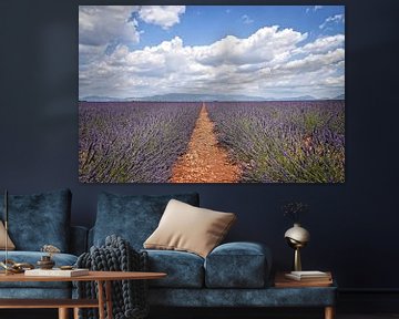 Valensole, lavendelvelden sur Kramers Photo