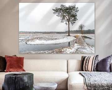 Winterliche Landschaft von Gonnie van de Schans