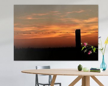 zonsondergang