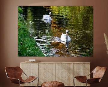 Swans in the park by Henri Witteveen